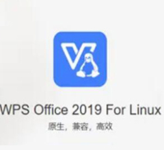WPS Office 2019 For Linux专业版办公软件V11 一年